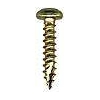 12-1080 Torx pin security screw