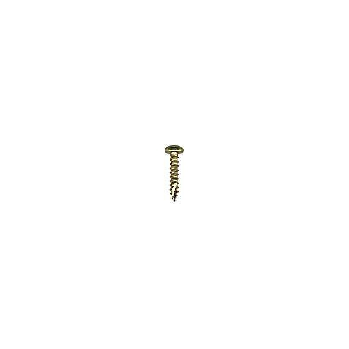 12-1080 Torx Pin Security Screw