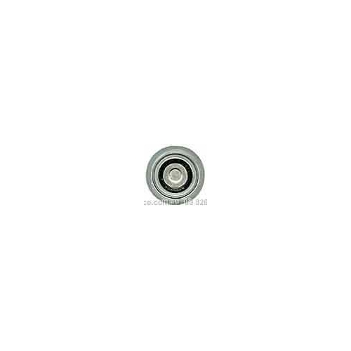 2-1070 30Mm Nylon Roller With Stainless Steel Bearings