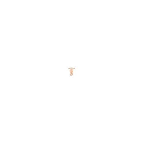 5-1770 Sliding Window Guide Button