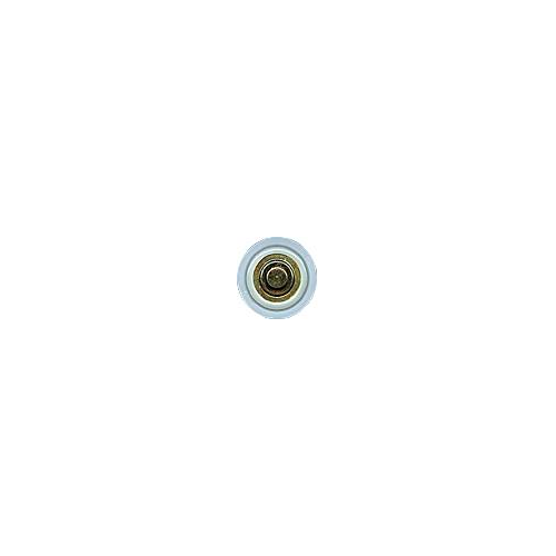 2-1310 25Mm Nylon Roller